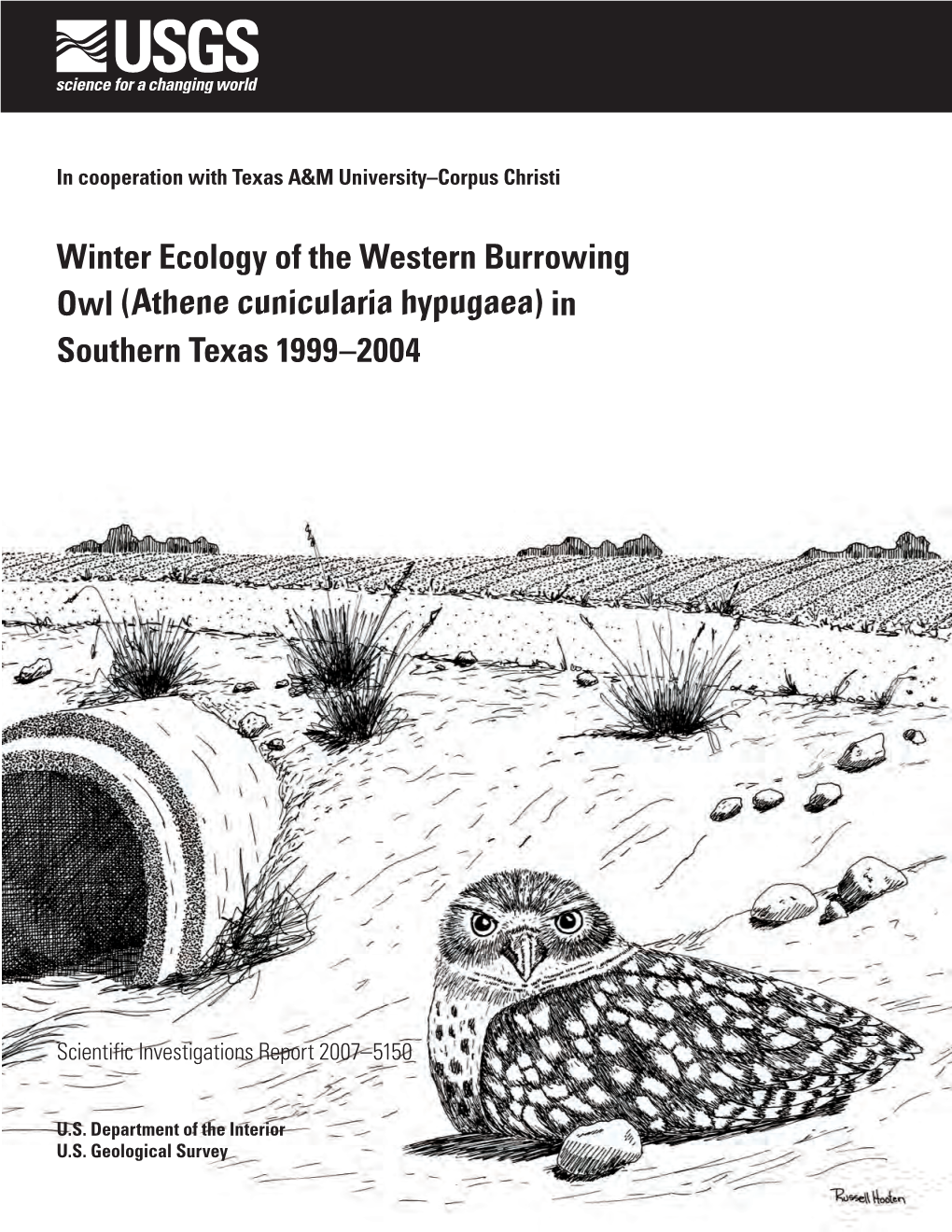 Winter Ecology of the Western Burrowing Owl (Athene Cunicularia Hypugaea) in Southern Texas 1999–2004