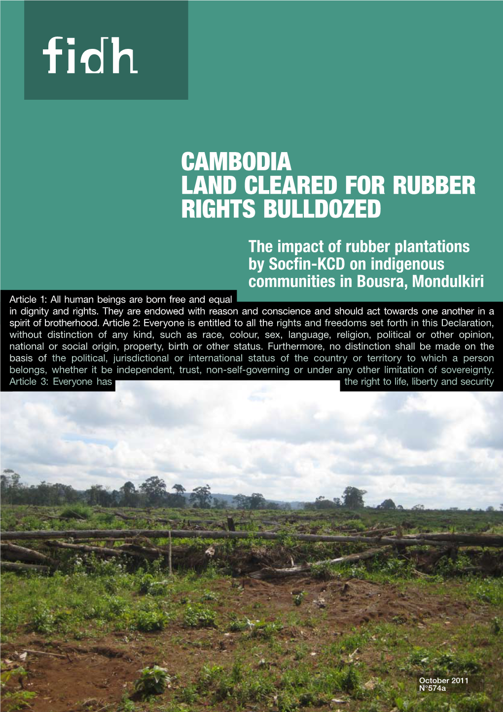 Cambodia Land Cleared for Rubber Rights Bulldozed the Impact of Rubber Plantations by Socfin-KCD on Indigenous Communities in Bousra, Mondulkiri of Person