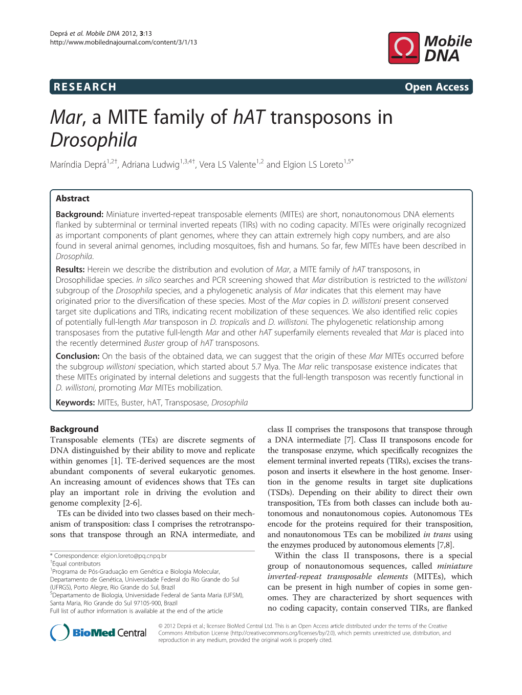 Mar, a MITE Family of Hat Transposons in Drosophila Maríndia Deprá1,2†, Adriana Ludwig1,3,4†, Vera LS Valente1,2 and Elgion LS Loreto1,5*