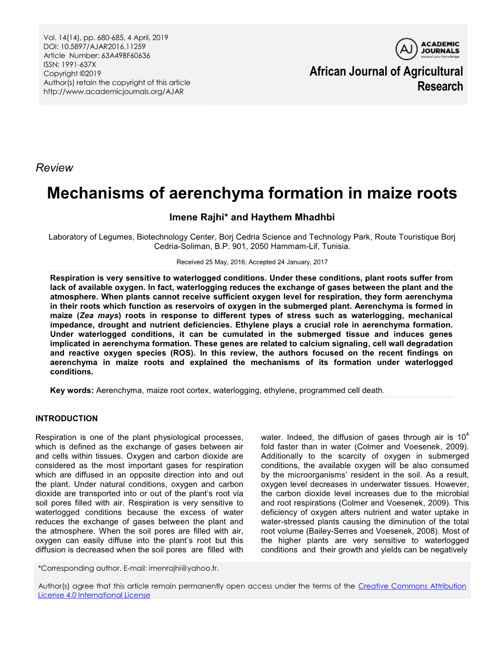 Mechanisms of Aerenchyma Formation in Maize Roots