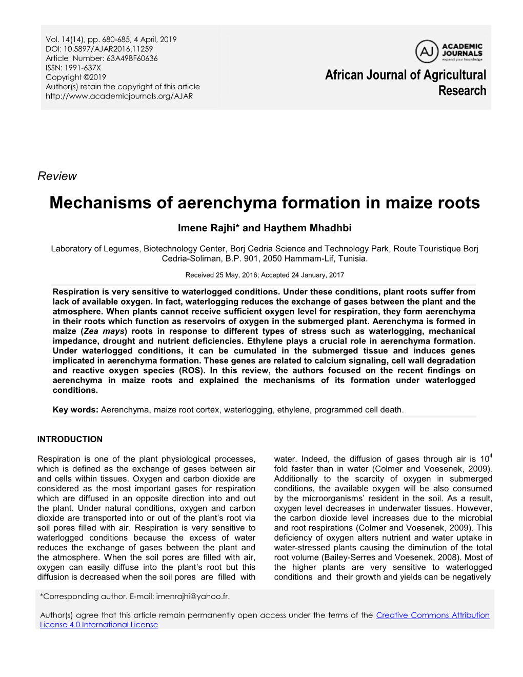 Mechanisms Of Aerenchyma Formation In Maize Roots - DocsLib