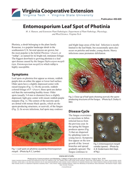 Entomosporium Leaf Spot of Photinia M
