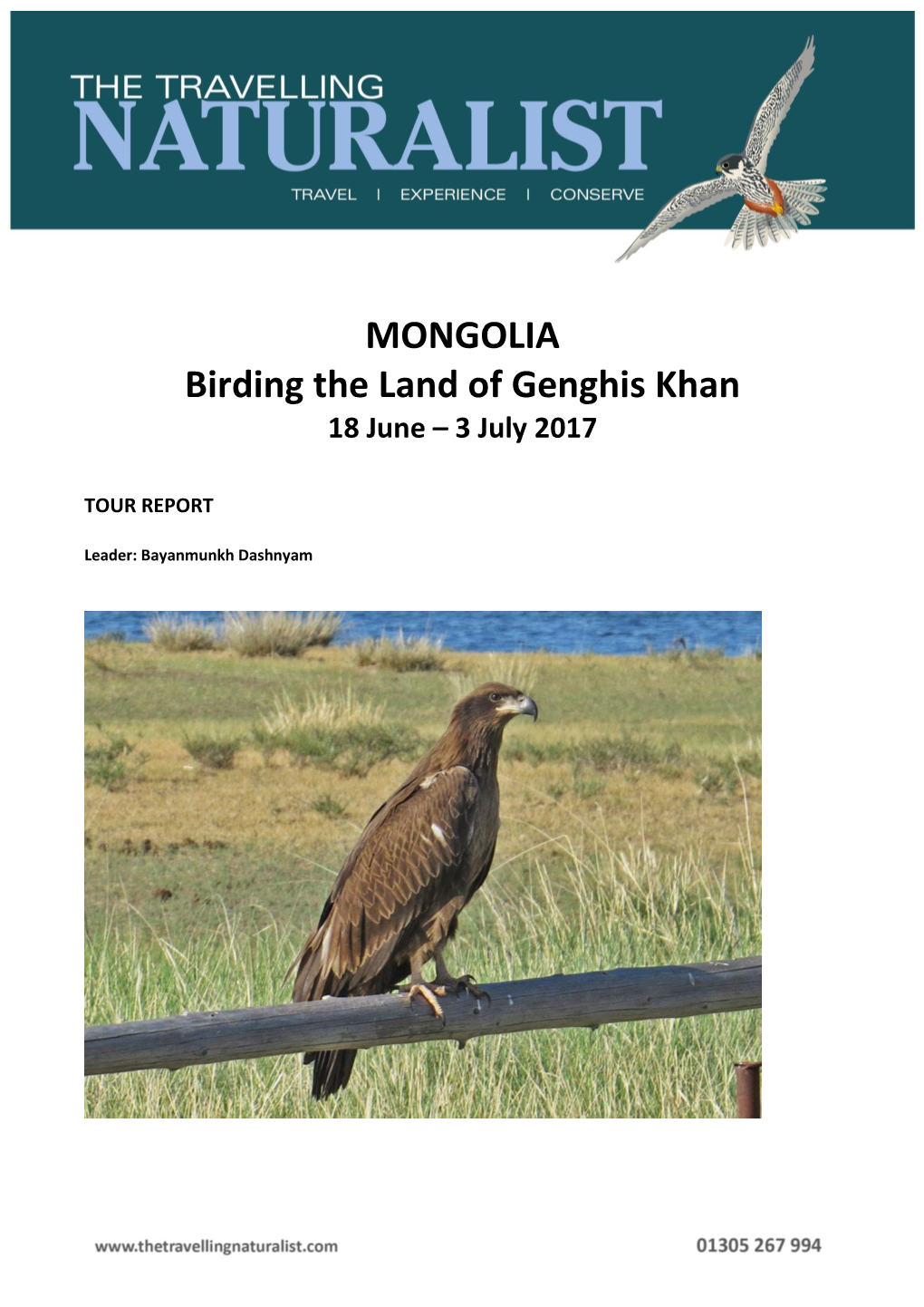 MONGOLIA Birding the Land of Genghis Khan 18 June – 3 July 2017
