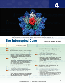 The Interrupted Gene