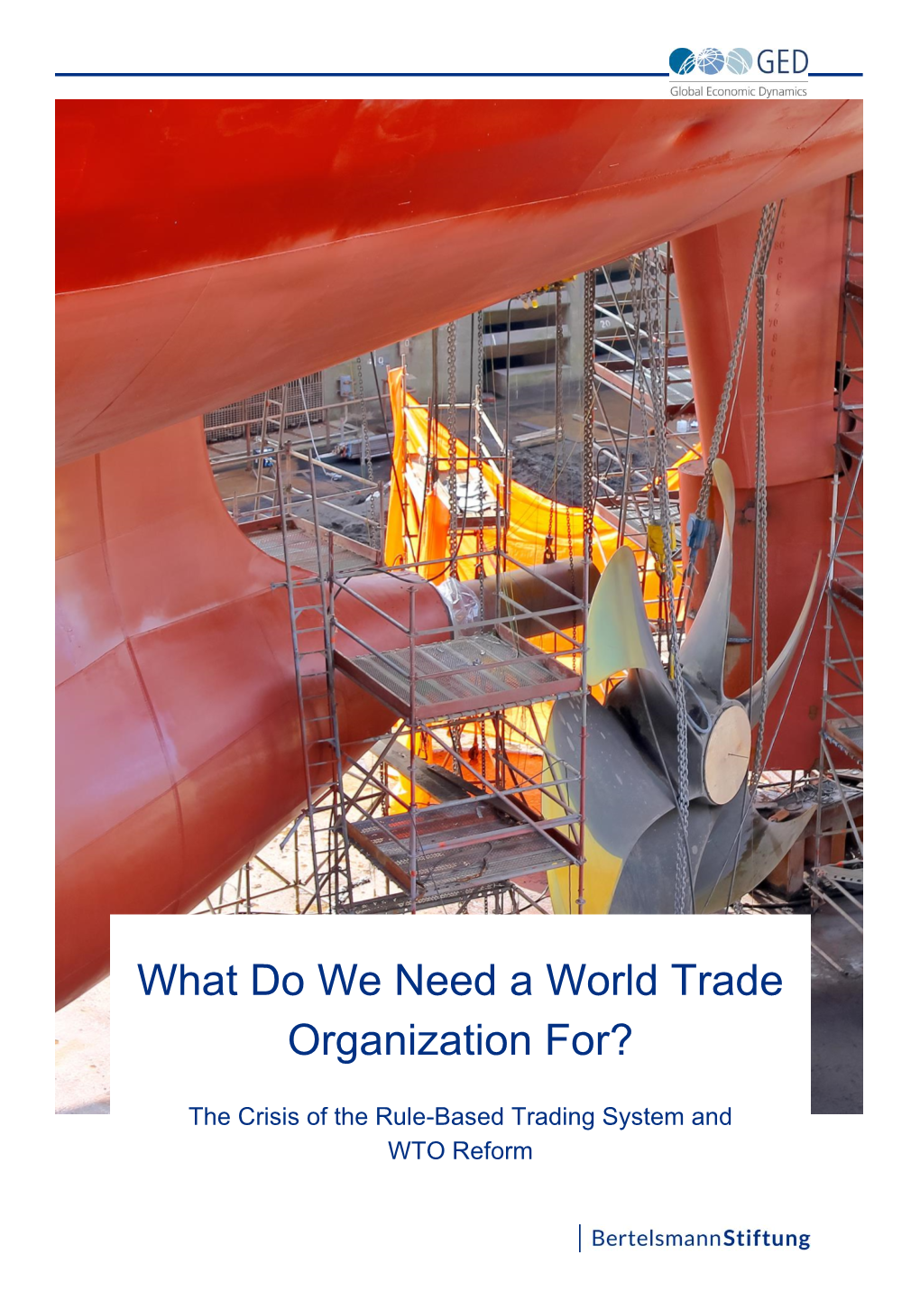 What Do We Need a World Trade Organization For?