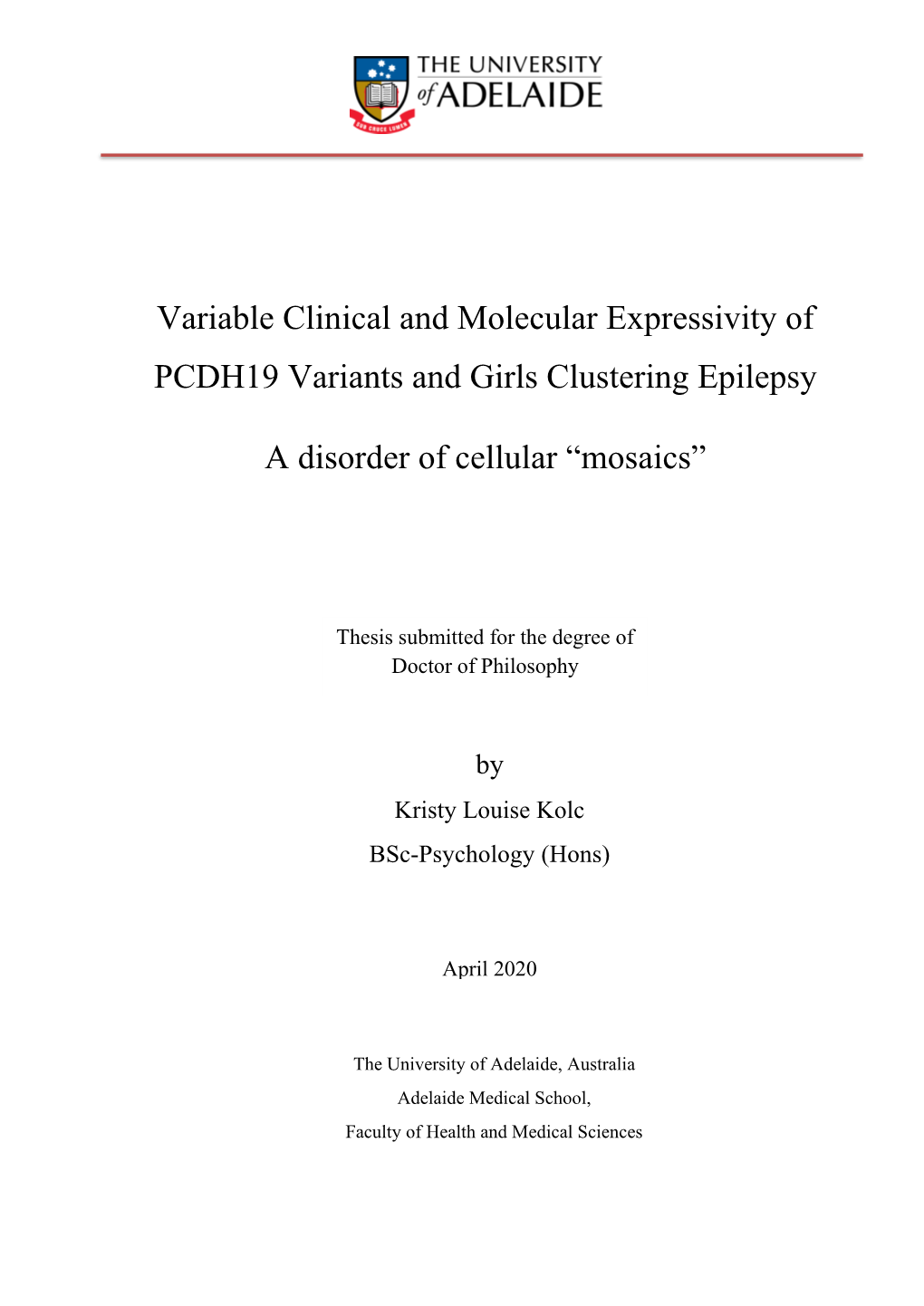 Variable Clinical and Molecular Expressivity of PCDH19 Variants and Girls Clustering Epilepsy