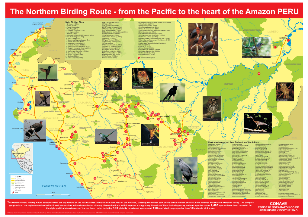The Northern Birding Route - from the Pacific to the Heart of the Amazon PERU