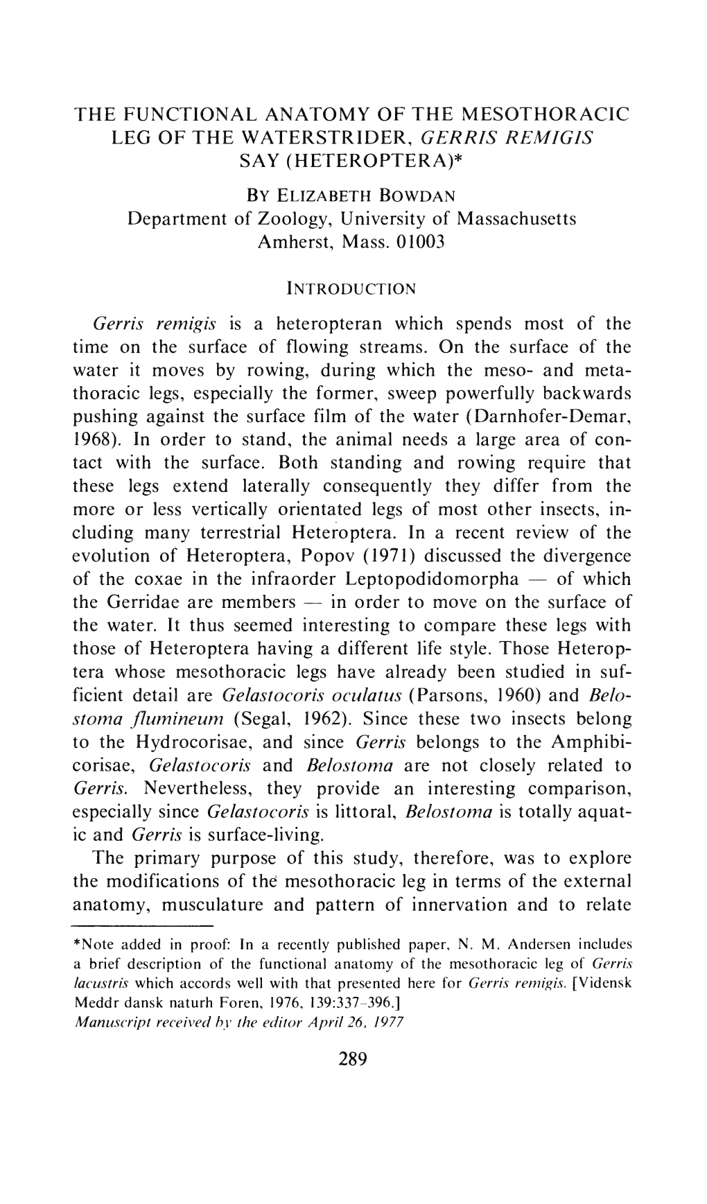 The Functional Anatomy of the Mesothoracic