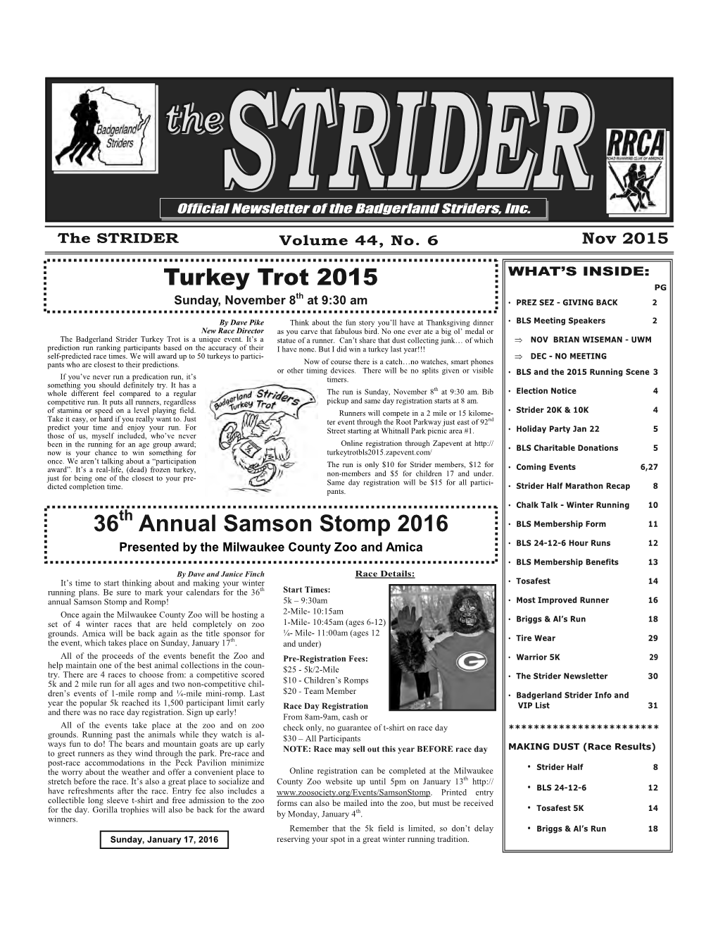 Strider 2015-11G
