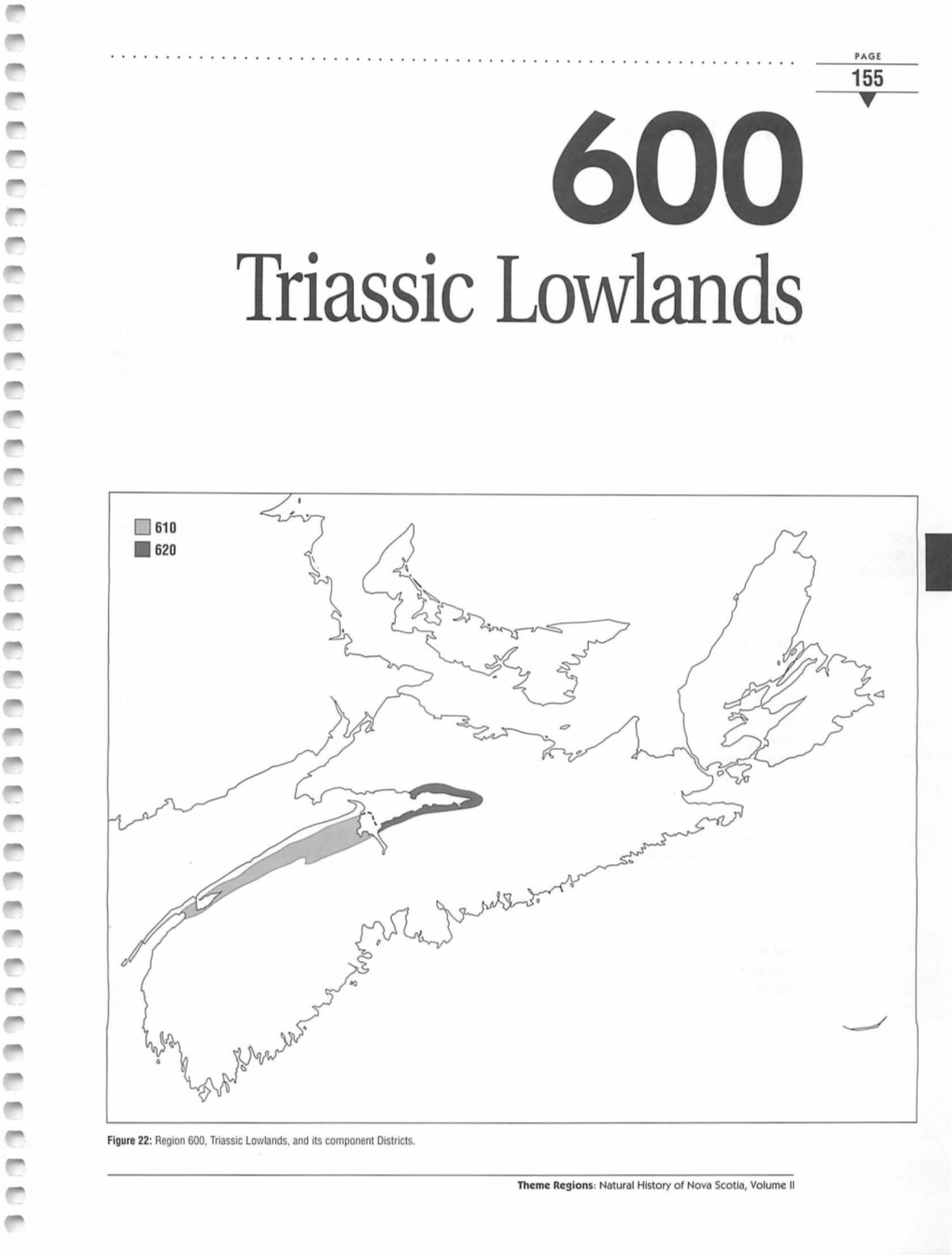 Triassic Lowlands