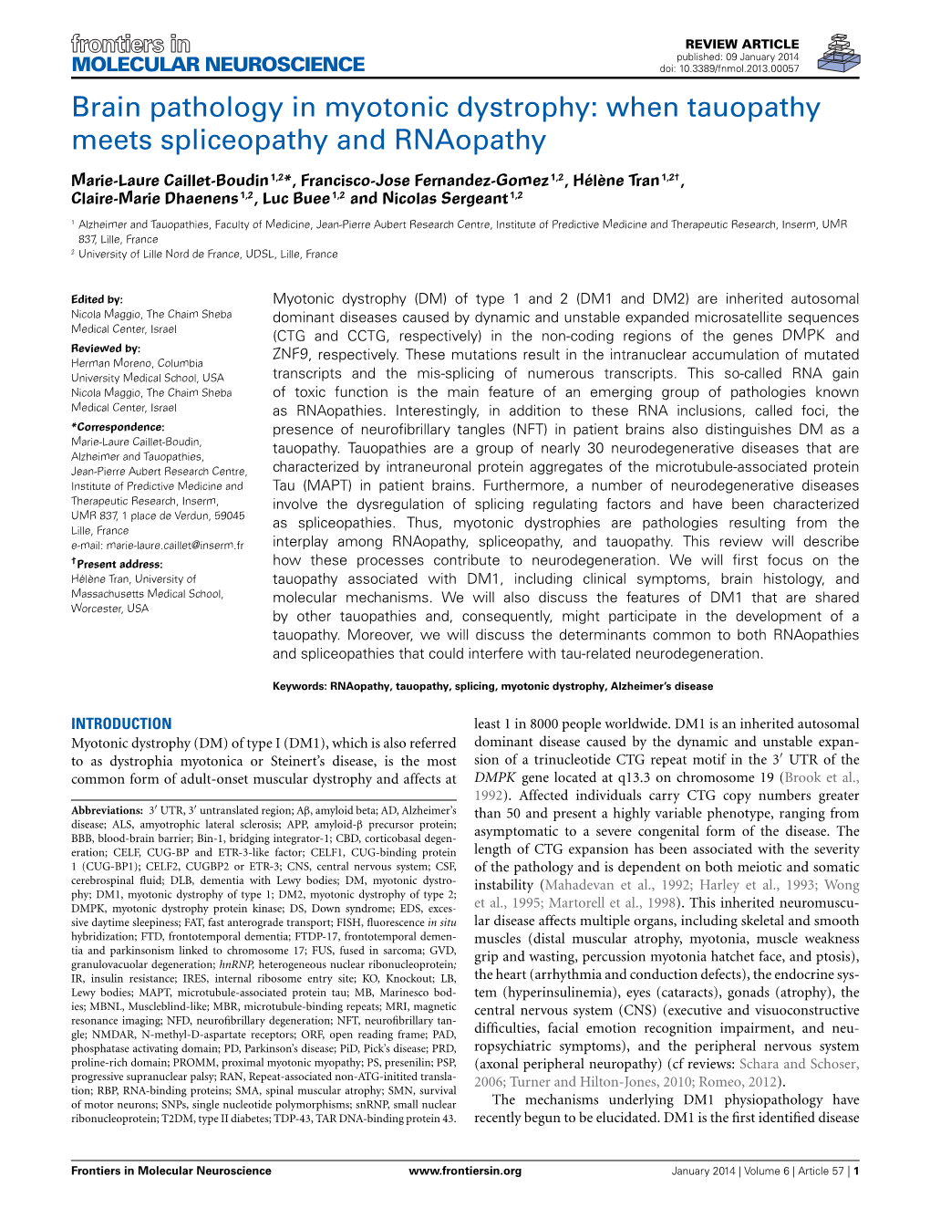 Brain Pathology in Myotonic Dystrophy: When Tauopathy Meets Spliceopathy and Rnaopathy