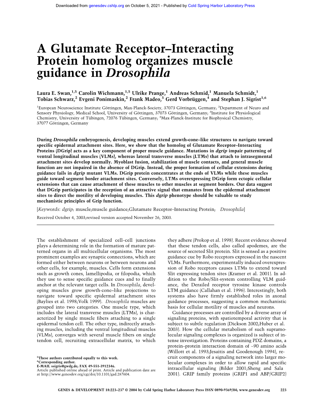 A Glutamate Receptor–Interacting Protein Homolog Organizes Muscle Guidance in Drosophila