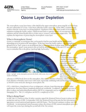 Ozone Layer Depletion (PDF)