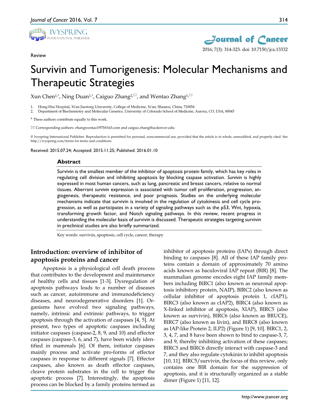 Survivin and Tumorigenesis: Molecular Mechanisms and Therapeutic Strategies Xun Chen1,*, Ning Duan1,*, Caiguo Zhang2,, and Wentao Zhang1,