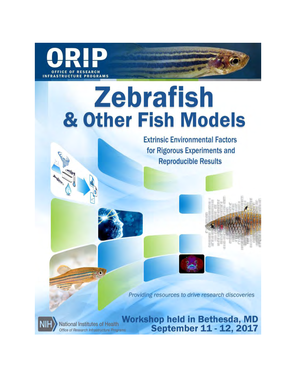 Zebrafish and Other Fish Models Workshop Report 2017