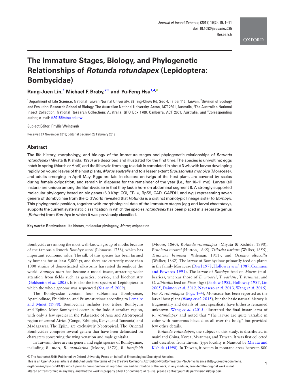 The Immature Stages, Biology, and Phylogenetic Relationships of Rotunda Rotundapex (Lepidoptera: Bombycidae)