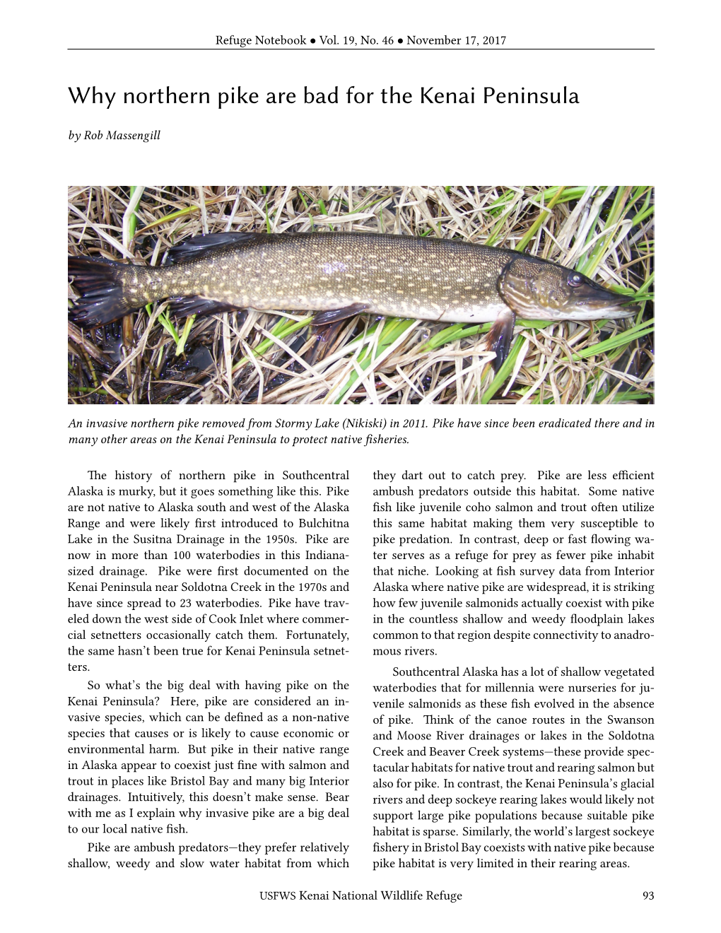 Why Northern Pike Are Bad for the Kenai Peninsula by Rob Massengill