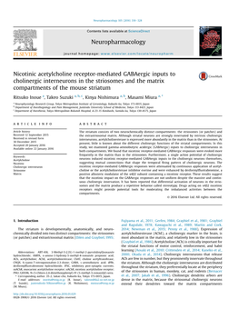 Nicotinic Acetylcholine Receptor-Mediated Gabaergic Inputs to Cholinergic Interneurons in the Striosomes and the Matrix Compartments of the Mouse Striatum