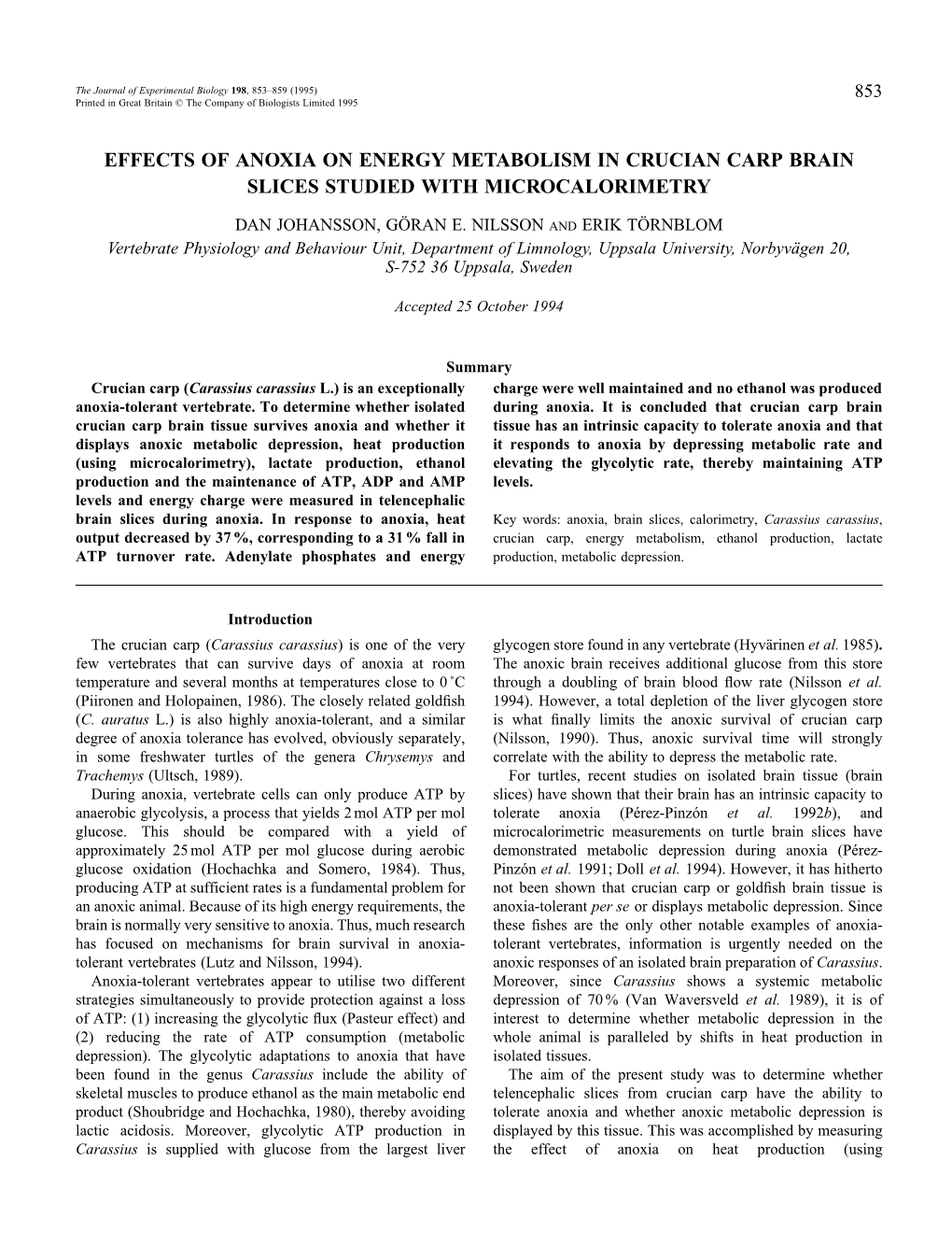 Effects of Anoxia on Energy Metabolism in Crucian Carp Brain Slices Studied with Microcalorimetry