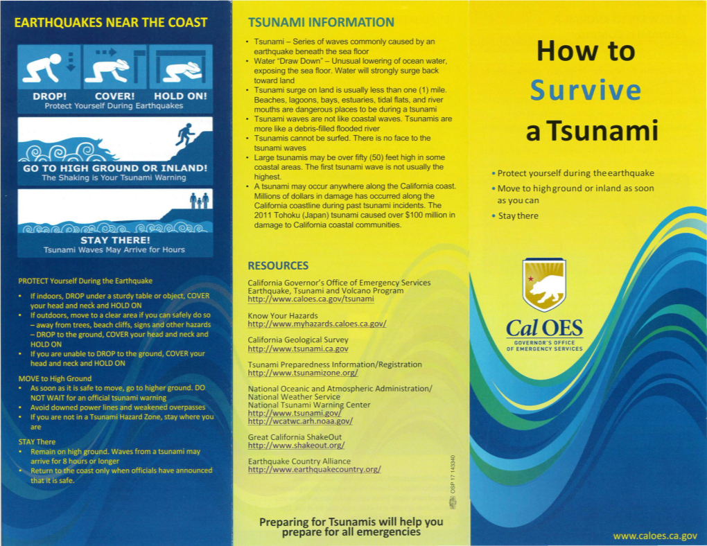 How to Survive a Tsunami