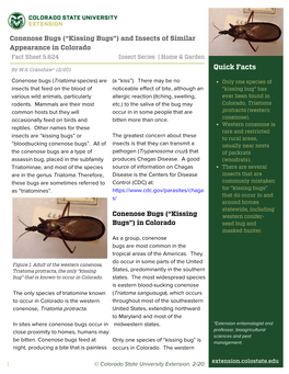 Kissing Bugs”) and Insects of Similar Appearance in Colorado Fact Sheet 5.624 Insect Series | Home & Garden