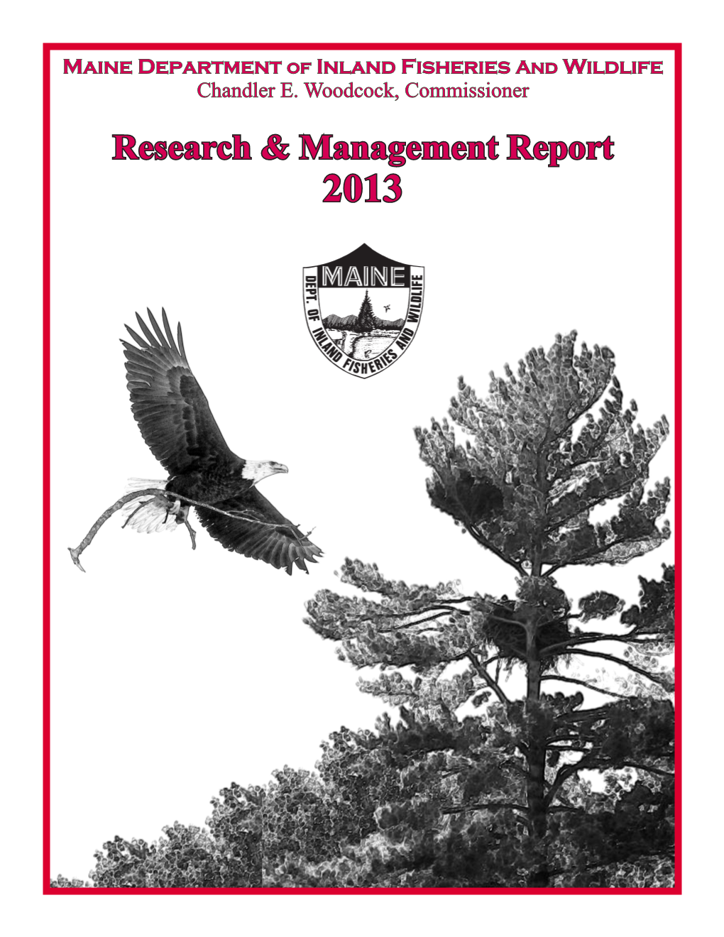 Research & Management Report