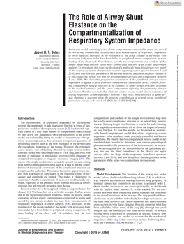 The Role of Airway Shunt Elastance on the Compartmentalization of Respiratory System Impedance