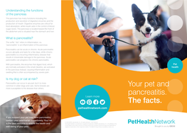 Your Pet and Pancreatitis