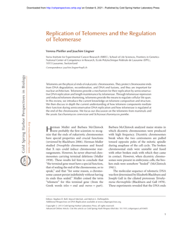 Replication of Telomeres and the Regulation of Telomerase