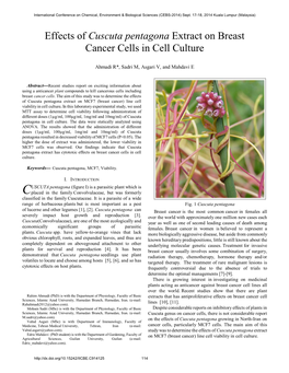 Effects of Cuscuta Pentagona Extract on Breast Cancer Cells in Cell Culture