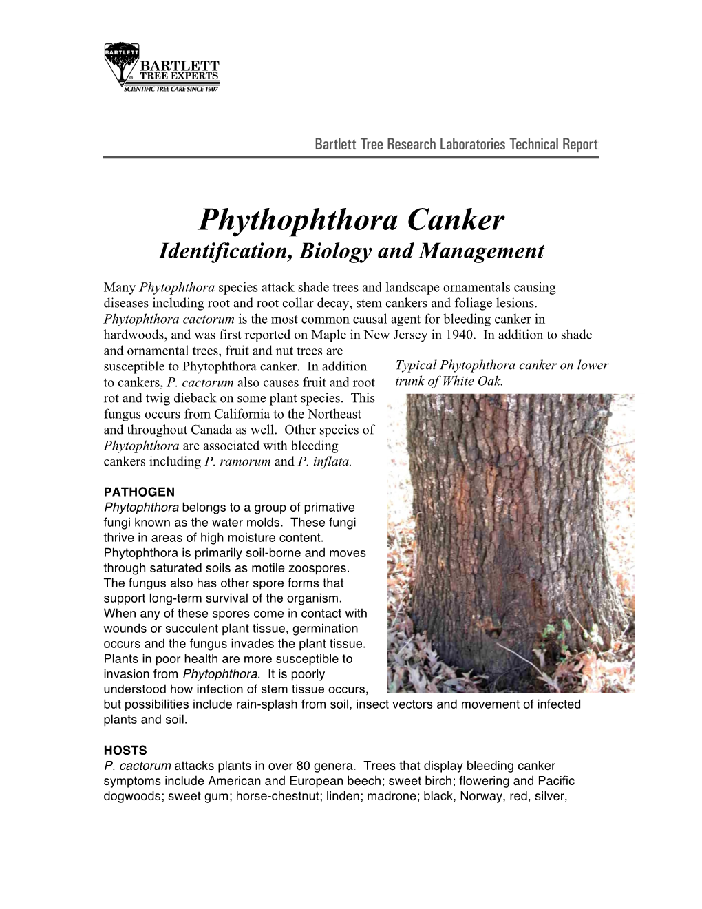 Phythophthora Canker Identification, Biology and Management