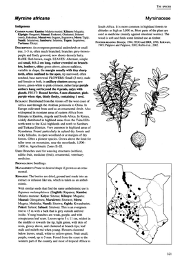 Myrsine Africana Myrsinaceae