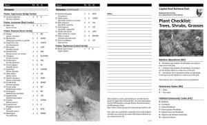 Plant Checklist: Trees, Shrubs, Grasses
