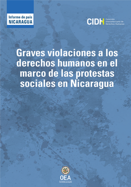 Comisión Interamericana De Derechos Humanos (CIDH) Informe Nicaragua 2018