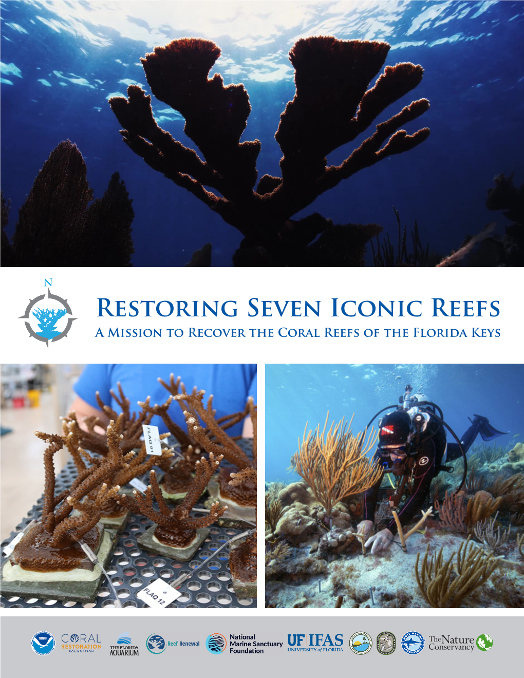 Restoring Seven Iconic Reefs