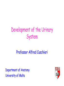 The Urogenital System Develops from the Intermediate Mesoderm