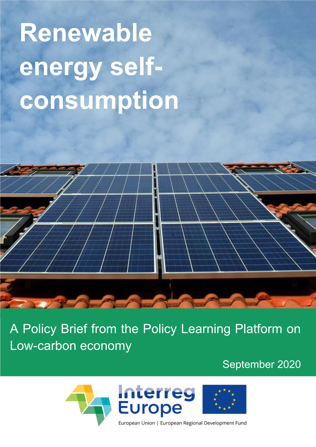 Policy Brief on Renewable Energy Self-Consumption