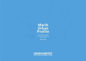 Marib Urban Profile «A Precarious Model of Peaceful Co-Existence Under Threat»