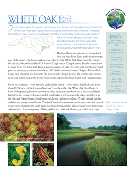White Oak River Basin Abounds with Coastal and Freshwater Wetlands