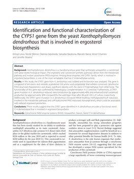 Identification and Functional Characterization of the CYP51 Gene