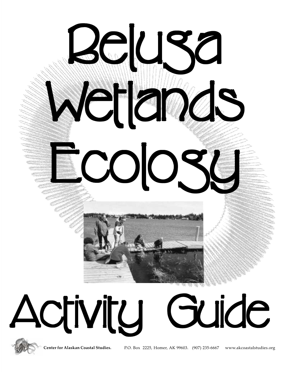 Beluga Wetlands Activity Guide