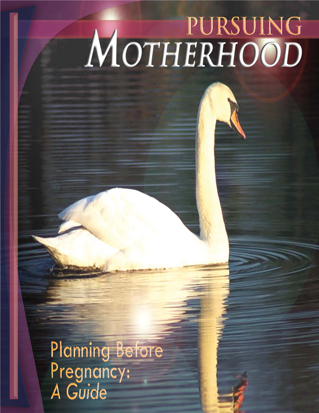 Pursuing Motherhood, Planning Before Pregnancy: a Guide Was Created to Address Recommendations Established by the Delaware Infant Mortality Task Force