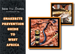 West African Venomous Snakes Identification