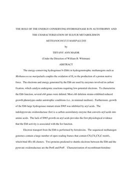 The Role of the Energy Conserving Hydrogenase B in Autotrophy And