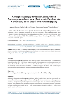 Subterranean Biology 25: 35–48 (2018)Zospeum Percostulatum Sp