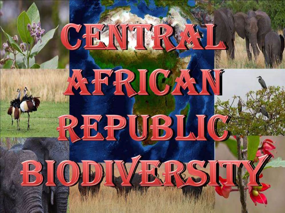 Central African Republic Biodiversity