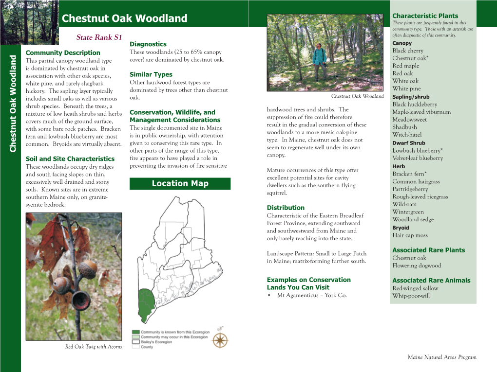 Chestnut Oak Woodland These Plants Are Frequently Found in This Community Type