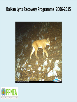 The Balkan Lynx Recovery Programme Are Spread with Leaflets and Posters, Via the Media, Articles and Presentation
