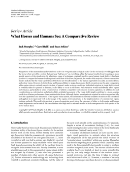 What Horses and Humans See: a Comparative Review