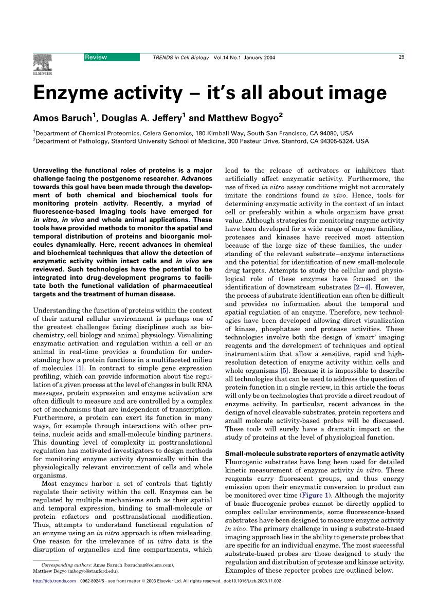 Enzyme Activity – It’S All About Image
